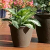 Sunnydaze Decor Sunnydaze Indoor/Outdoor Patio, Garden, Or Porch Weather-Resistant Double-Walled Anjelica Flower Pot Planter - 16" - Rust Finish