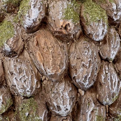 Sunnydaze Decor Sunnydaze Hazel The Hedgehog Statue - Indoor/Outdoor Decorative Figurine - 7" 2 Sunnydaze Decor Sunnydaze Hazel The Hedgehog Statue - Indoor/Outdoor Decorative Figurine - 7" - Image 2