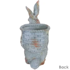 Sunnydaze Decor Sunnydaze 17" Roman The Carrot Collector Rabbit Indoor/Outdoor Statue Figurine - Patio, Lawn And Garden Decoration 10 Sunnydaze Decor Sunnydaze 17" Roman The Carrot Collector Rabbit Indoor/Outdoor Statue Figurine - Patio, Lawn And Garden Decoration -Sunnydaze Decor GUEST 419314d9 1137 47b4 827d 9bba6aa68da0