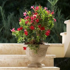 Sunnydaze Decor Sunnydaze Indoor/Outdoor Patio, Garden, Or Porch Weather-Resistant Double-Walled Darcy Flower Pot Planter - 16" - Beige -Sunnydaze Decor GUEST 685d84d6 bc6d 4ce5 b0d1 9483e4e461b2