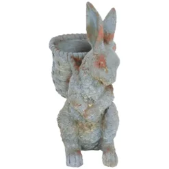 Sunnydaze Decor Sunnydaze 17" Roman The Carrot Collector Rabbit Indoor/Outdoor Statue Figurine - Patio, Lawn And Garden Decoration 11 Sunnydaze Decor Sunnydaze 17" Roman The Carrot Collector Rabbit Indoor/Outdoor Statue Figurine - Patio, Lawn And Garden Decoration -Sunnydaze Decor GUEST 755befe8 123d 40f1 a49d 64c9d38dd05c