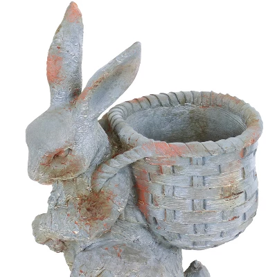 Sunnydaze Decor Sunnydaze 17" Roman The Carrot Collector Rabbit Indoor/Outdoor Statue Figurine - Patio, Lawn And Garden Decoration 2 Sunnydaze Decor Sunnydaze 17" Roman The Carrot Collector Rabbit Indoor/Outdoor Statue Figurine - Patio, Lawn And Garden Decoration - Image 2