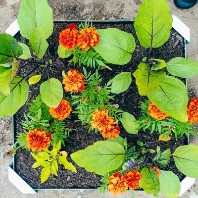 Sunnydaze Decor Sunnydaze Outdoor Lawn And Garden Galvanized Steel Square Raised Vegetable Garden Or Flower Bed Planter Kit - 22" - Silver 3 Sunnydaze Decor Sunnydaze Outdoor Lawn And Garden Galvanized Steel Square Raised Vegetable Garden Or Flower Bed Planter Kit - 22" - Silver - Image 3