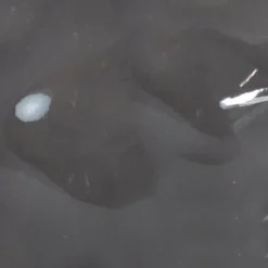 Sunnydaze Decor Sunnydaze Grinning Skull Glass Tabletop Torches 9 Sunnydaze Decor Sunnydaze Grinning Skull Glass Tabletop Torches -Sunnydaze Decor GUEST cd1607e0 23a0 4ea6 afb7 100be07bf945