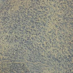 Sunnydaze Decor Sunnydaze 27"H Electric Polystone Seaside Outdoor Wall-Mount Water Fountain -Sunnydaze Decor GUEST dc873c07 cf6d 4ccf 93b2 496e045be9ba